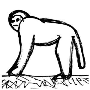 Monkey illustration himachal pradesh