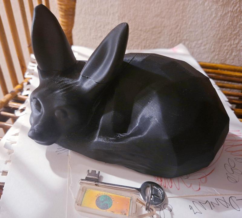 Large 3D Print Fox